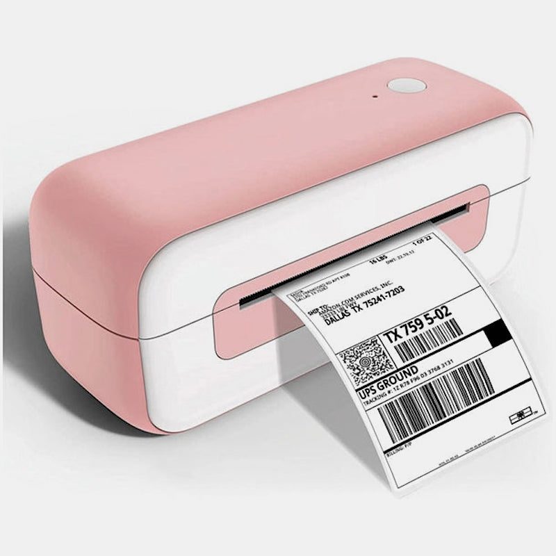 Impresora Portátil Phomemo PM 246S
